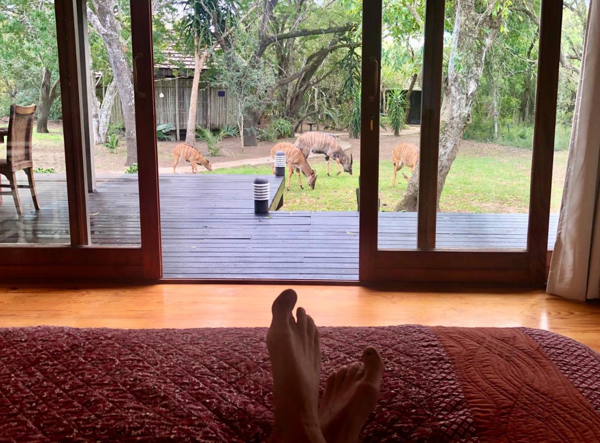 Imani Bush House & Silver Sky Chalet Hluhluwe Ngoại thất bức ảnh